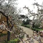 Feudo Muxarello Farma Aragona
