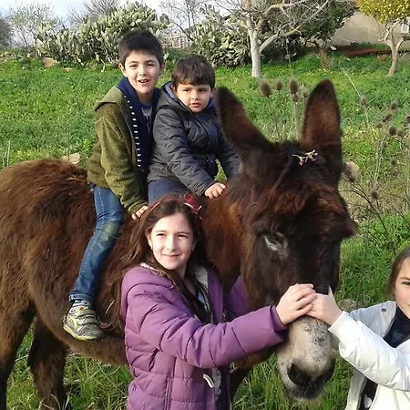 Feudo Muxarello Alojamento de Turismo Rural