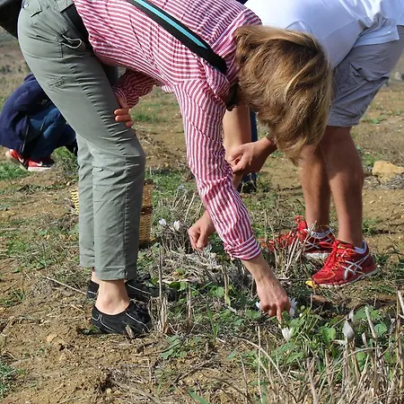 Feudo Muxarello Alojamento de Turismo Rural